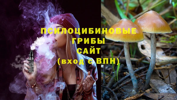 ПСИЛОЦИБИНОВЫЕ ГРИБЫ Армянск