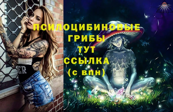 каннабис Аркадак